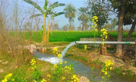 Punjab Pakistan Village Photography Punjab Culture Village Life