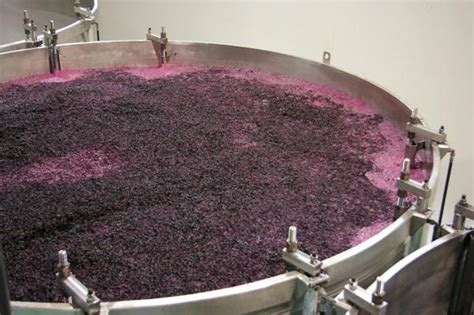 En la elaboración del Vino Qué es la fermentación alcohólica