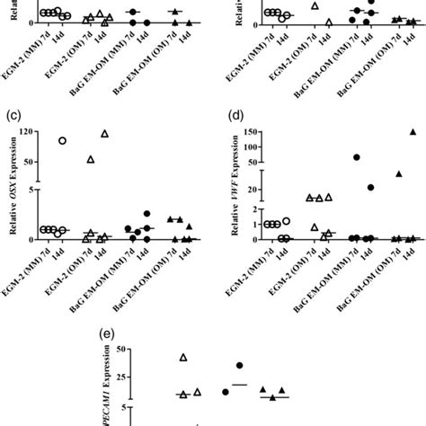 Gene Expression Gene Expression Of Osteogenic And Endothelial Marker