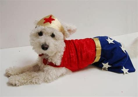 15 DIY Dog Costume Ideas For Your Puppy