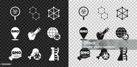 생물학적 위험 및 돋보기 화학식 Gmo Gmo 연구 닭 Dna 연구 및 유전자 변형 사과 아이콘을 설정합니다 벡터 0명에 대한