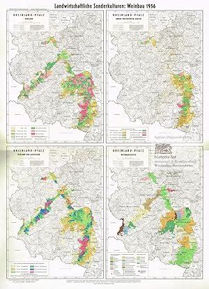 Rheinland Pfalz Landwirtschaftliche Sonderkulturen Weinbau 1956 Vier