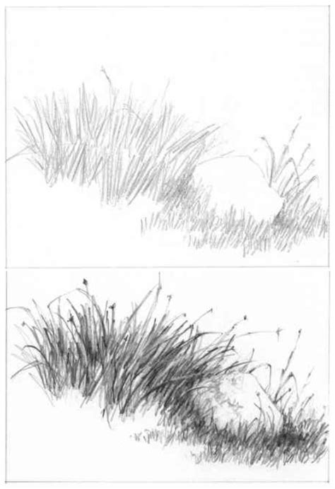 Barns Grass Rocks And Water Drawing Nature Joshua Nava Arts Landscape Pencil Drawings