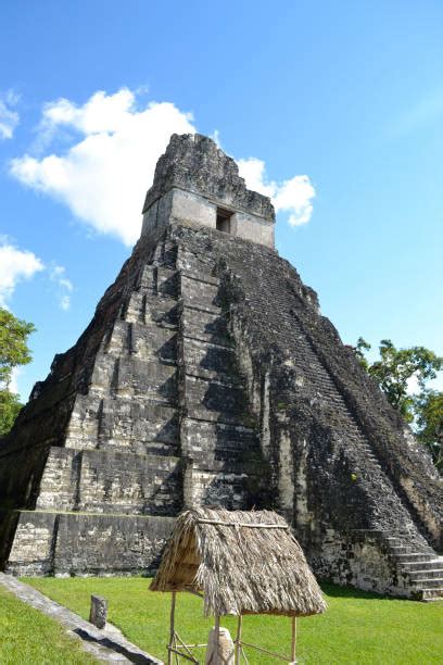 Mayan Pyramids Tikal Landscape Mayan Stock Photos, Pictures & Royalty ...