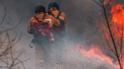 Los Incendios Forestales Dañan La Calidad Del Aire Y La Salud De Las