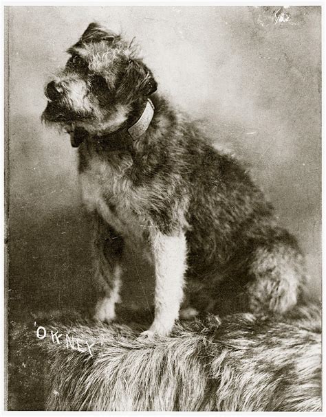 US Postal Services in Missoula: Holiday Village Location Guide 4