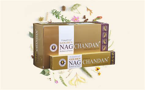 Vijayshree Golden Nag Chandan Incense Sticks Manufacturers In India