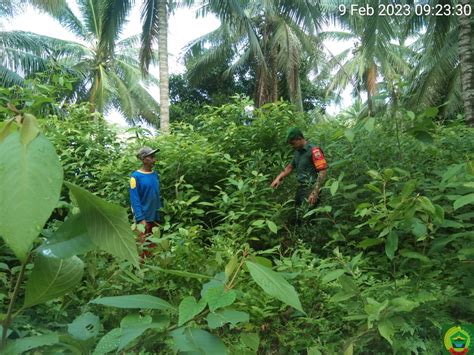 Babinsa Kopda Andri Sosialisasikan Bahaya Karhutla Dan Sanksi Bagi