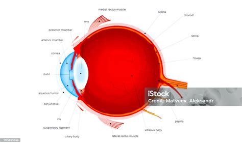 istock