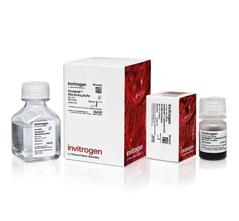 Invitrogen Dynabeads RNA Purification Kit Large Combo Kit Fisher