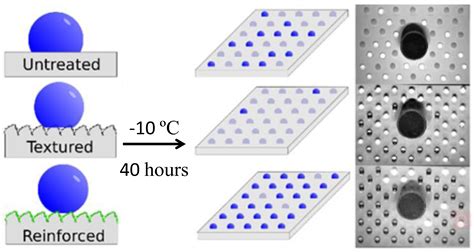 Polymers Free Full Text Bio Inspired Polymeric Structures With