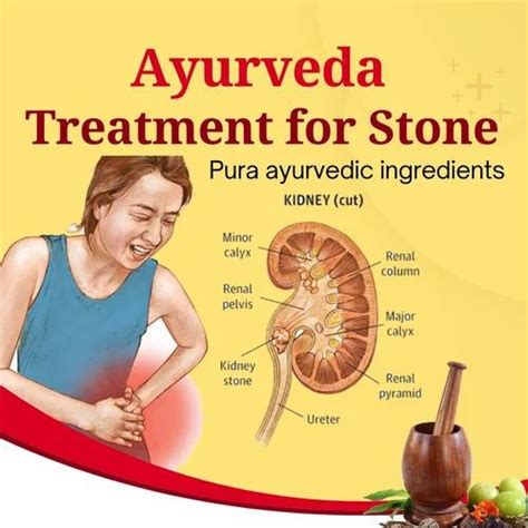 Ayurvedic Immunity Booster At Rs Bottle Allopathic Immunity