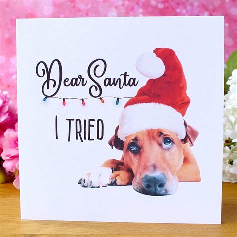 Funny Dog Christmas Cards | " I Tried " | Free Delivery – Bright Heart Design