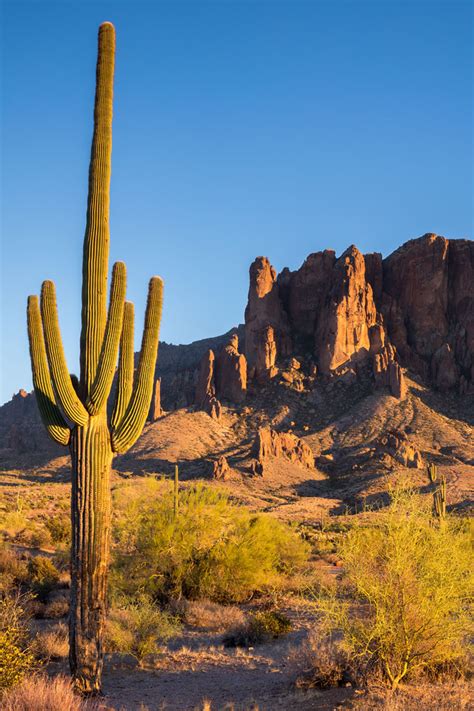 Things To Do - Arizona City Chamber of Commerce Discover Arizona City's ...