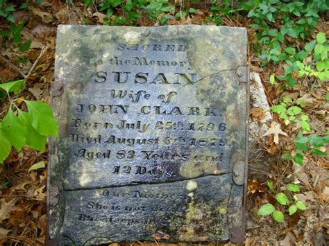 Susan Parks Clark Find A Grave Memorial Susan Clark