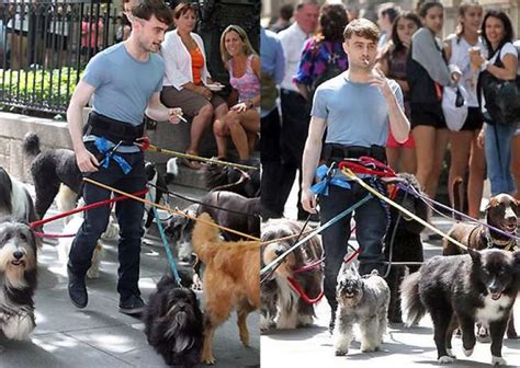 Daniel Radcliffes Hands Free Dog Walk