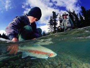 Introduction To River Trout Fishing MapQuest Travel