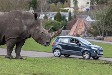 Opiniones Del Parque West Midlands Safari Park Kidderminster Pacommunity