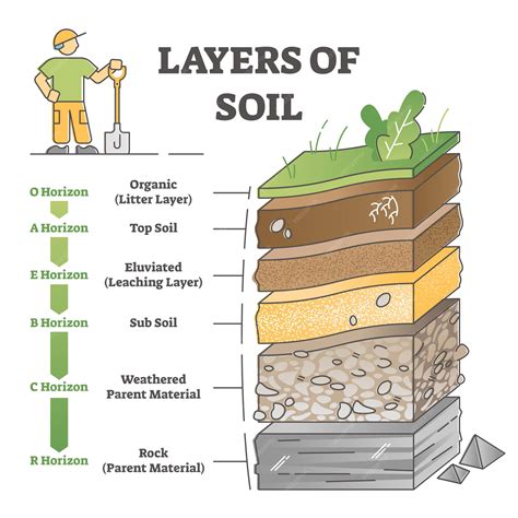 Premium Vector | Layers of soil diagram as educational labeled earth structure outline concept ...