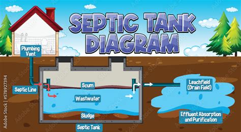 Septic tank system diagram Stock Vector | Adobe Stock