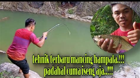 Mancing Hampala Umpan Udang Hidup Joran Saya Sampai Menjerit Youtube