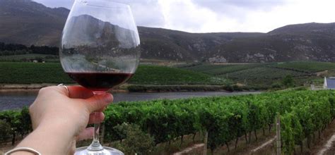 Cape Town Full Day Winelands Tour Experience Days Vouchers Experience