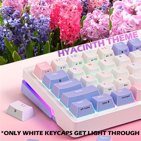 Bàn phím cơ Zifriend ZA68 Pro RGB Hotswap Led viền 3 chế độ kết nối