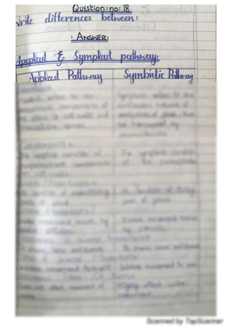 SOLUTION: Difference between apoplast and symplast pathway - Studypool