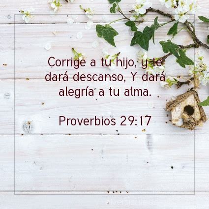 Imagen El Versiculo Del Dia Proverbios 29 17