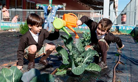 La Mesa De Rsc De Castell N Premia El Proyecto Intur Crece De Intur