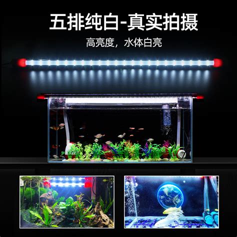 超亮水族箱照明鱼缸灯led灯防水七彩神仙鱼专用三基色增色增艳灯虎窝淘