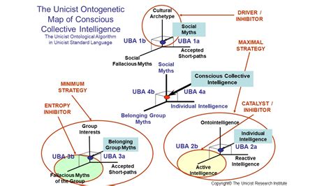 Collective Intelligence Drives Social And Individual Actions