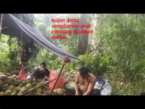 Camping Hujan Deras Semalaman Sambil Menunggu Buah Durian Jatuh Youtube