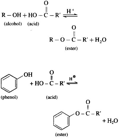 What is esterification? How is an ester obtamed from alcohol or phenol ...