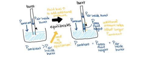 AAMC TEST FLASHCARDS Flashcards Quizlet