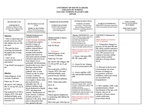 Careplan Care Plan Paperwork University Of South Alabama College