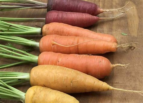 multi_color_carrots | Kellogg Garden Organics™