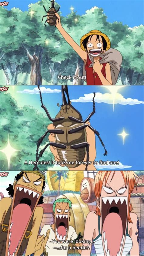 One Piece Funny Moments One Piece Meme One Piece Crew One Peice