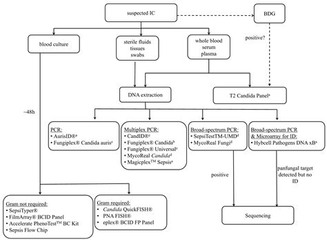 Jof Free Full Text Molecular Methods For The Diagnosis Of Invasive