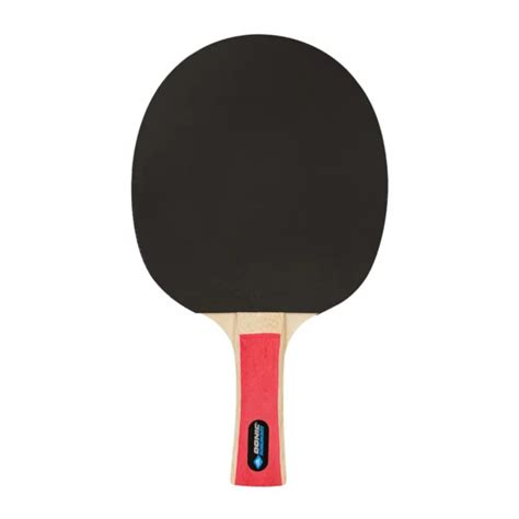 SET DE PING PONG DONIC APPELGREN LINE 300