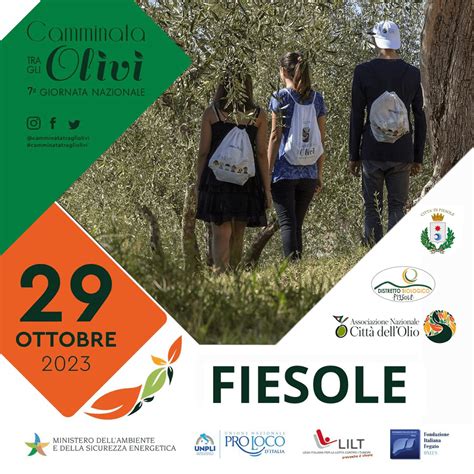 Camminata Tra Gli Olivi Distretto Biologico Fiesole