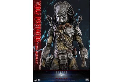 Movie Masterpiece AVP2 1 6 Scale Figure Wolf Predator Heavy Weaponry