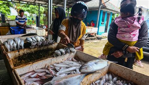 Kkp Pastikan Stok Ikan Selama Ramadan Hingga Idul Fitri Tercukupi