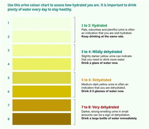 urine color chart what color is normal what does it mean - urine color ...