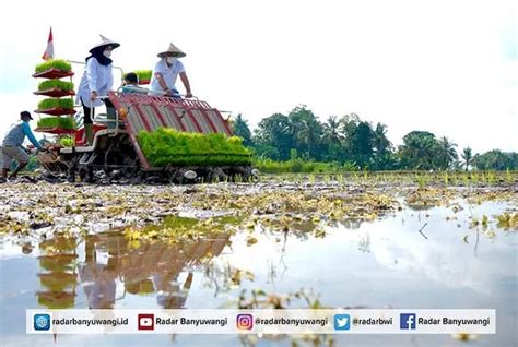 Banyuwangi Jadi Pilot Project Agro Solution Radar Banyuwangi