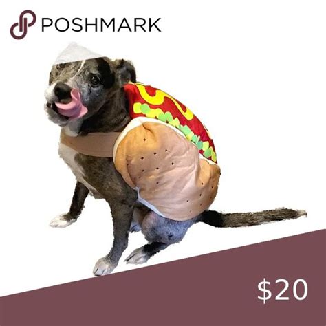 Dog Costume Weiner Dog 🐕 Hot Dog 🌭 | Weiner dog, Dog costume, Leopard dog