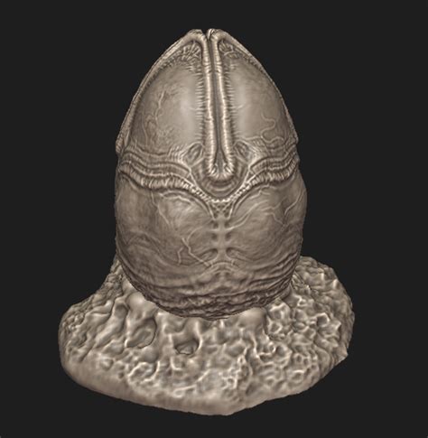 Xenomorph Egg