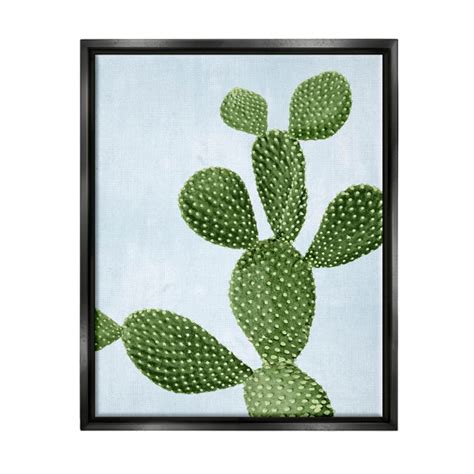 Stupell Industries Prickly Pear Desert Cactus Framed On Canvas By Mia