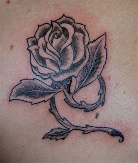 deepline tattoo - gallery:::...