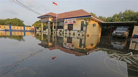 Banjir Rob Rendam Puluhan Rumah Di Indramayu